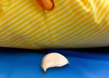Tác dụng của củ tỏi khi đặt một tép dưới gối khiến bạn phải bất ngờ