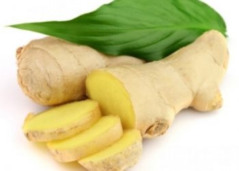 Gừng trị bệnh tiết niệu, tê thấp cực hiệu quả, không biết cực phí