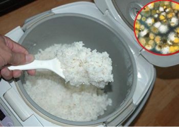 Sẽ không ai dám hâm lại cơm nguội để ăn nữa nếu biết sự thật khủng khiếp này