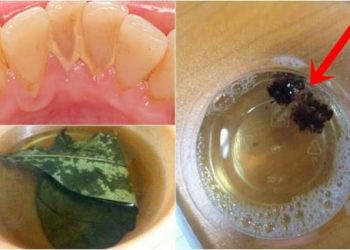 Làm điều NÀY buổi tối sáng hôm sau ngủ dậy răng sẽ bật tông trắng bóng