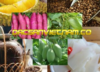 12 món ăn ngon được xem là đặc sản Đắk Nông bạn có thể ăn hoặc mua làm quà.
