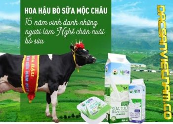 17 Đặc sản Mộc Châu – Sơn La bạn có thể mua về làm quà cho người thân