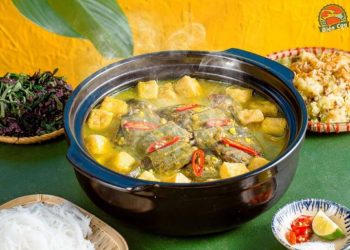 5 cách chế biến ba ba thơm ngon bổ dưỡng mà bạn nên biết