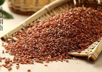 5 món ăn giúp Càn Long sống thọ, tăng cường sinh lý nam ‘cực đỉnh’