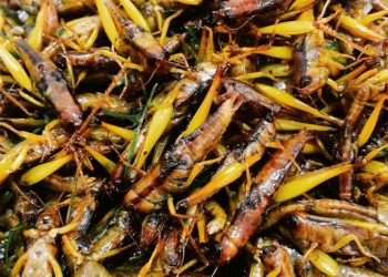 Ẩm thực Mù Cang Chải có gì hấp dẫn
