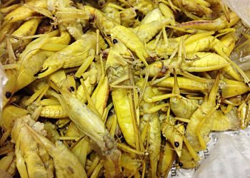 Ẩm thực Yên Bái: Top 5 đặc sản ngon miễn chê ở Yên Bái