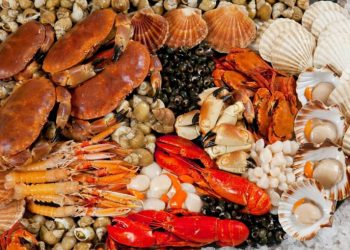 Ăn gì ở Phan Thiết? 15 món ăn Phan Thiết ngon khó cưỡng kèm địa chỉ quán