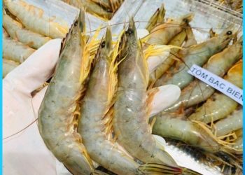 Cách chế biến món Tôm bạc biển sốt bơ tỏi đậm đà dư vị