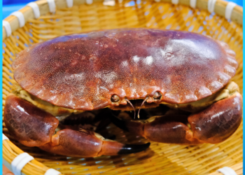 Cách làm món cua nâu rang me thơm ngon khó cưỡng chiêu đãi cả nhà