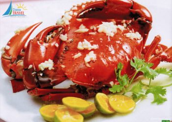 Cù Lao Chàm – Nơi Hội Tụ Những Món ăn Làm Say đắm Lòng Người