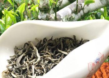 Đặc sản chè Shan Tuyết Suối Giàng – Yên Bái