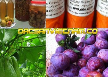 Đặc sản Sapa làm quà có 17 loại – Loại nào cũng ngon và rẻ.