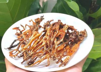 Đặc sản ‘vũ nữ chân dài’ miền Tây ra Hà Nội, bán 700.000/kg hút khách