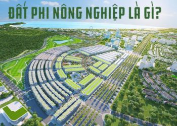 Đất phi nông nghiệp là gì, tìm hiểu về đất phi nông nghiệp