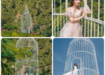Hai kỷ lục Việt Nam mới được xác lập bởi Quần thể khu du lịch Quỷ Núi Suối Ma Đà Lạt