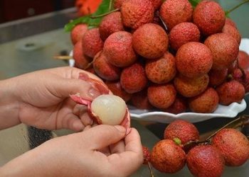 Mùa vải thiều đã đến, 5 cấm kị khi ăn vải và cách xử lý khi ‘say’ vải
