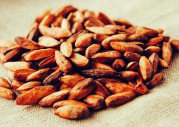 Thưởng Thức Món ăn Ngon, đặc Sản Khi Du Lịch Côn đảo
