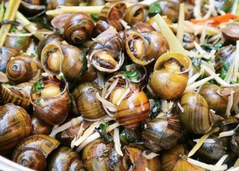 Tổng Hợp 16 Quán Ốc Ngon Ở Cần Thơ Nhất Định Phải Ghé