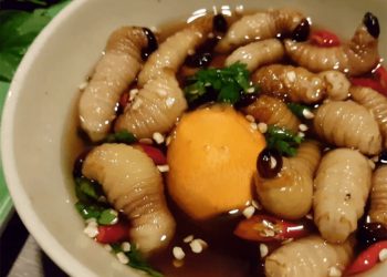Tổng hợp những món ăn ngon nổi tiếng tại miền Tây