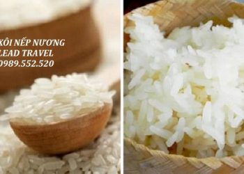 Xôi nếp nương – đặc sản Mai Châu khiến du khách cảm nắng