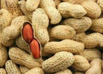 Lạc ngâm giấm giúp hạ huyết áp