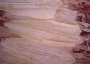 Hướng dẫn bạn cách đơn giản chọn mực khô ngon, an toàn