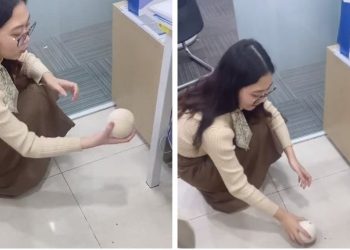 Mẹo lấy cùi dừa cực dễ, ở văn phòng cũng làm được