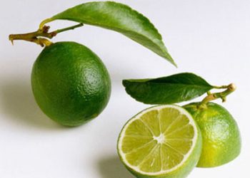 Mẹo vắt chanh tươi như thế nào để có được nhiều nước nhất