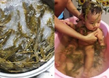 Từ ngày tắm thứ NƯỚC LÁ này giúp con chưa bao giờ biết ốm đau, da dẻ lại mát mẻ và trắng trẻo ra