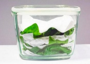 Tổng hợp mẹo nhà bếp cực hay dành cho người nội trợ tham khảo