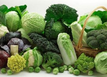 Cách phân biệt rau sạch hay không để đảm bảo an toàn cho sức khỏe