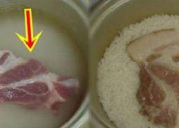 Chỉ là đặt MIẾNG THỊT SÓNG vào chính giữa NỒI CƠM, nửa giờ sau cả nhà khen nức nở vì thành quả không ngờ