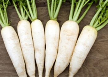 Mách nhỏ cách chữa ho hiệu quả nhờ các loại củ, quả