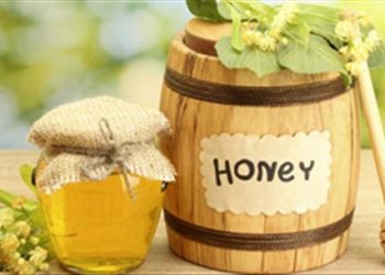Hướng dẫn cách xử lý khi côn trùng đốt từ nguyên liệu sẵn có