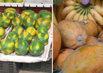 Mẹo phân biệt đu đủ sạch và đu đủ tẩm hóa chất có thể bạn chưa biết