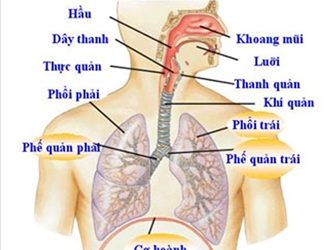 Ngừa chứng ho ban đêm bằng một số bí quyết đơn giản