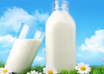 Sữa tươi và những mẹo nhỏ hữu ích bạn không thể bỏ qua