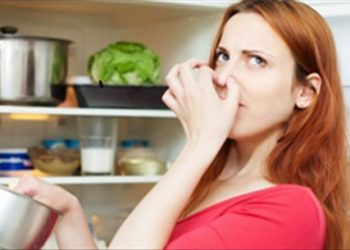 Một số mẹo vặt đơn giản đánh bay mùi khó chịu của tủ lạnh