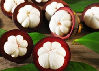 Cách chọn măng cụt không bị chín ép nhiều người chưa biết