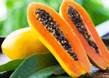 Cách nhận biết đu đủ chín tự nhiên không phải ai cũng biết
