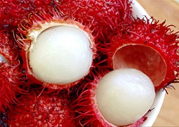Hướng dẫn cách chọn lựa và bảo quản chôm chôm vào mùa hè