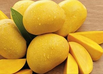 Cách nhận diện xoài sử dụng hóa chất thúc chín ép