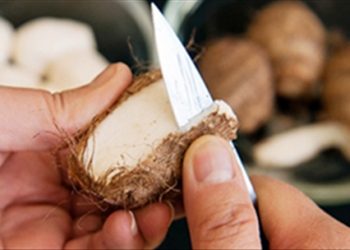 Tuyệt chiêu gọt khoai không sợ ngứa tay không phải ai cũng biết