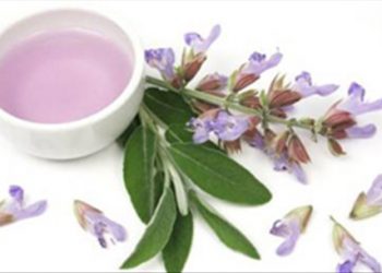 Mách bạn cách tự chế hỗn hợp làm thơm mát nhà cửa đơn giản