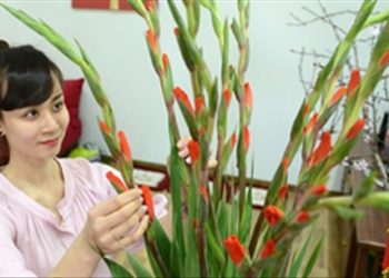 Mẹo giữ hoa tươi lâu ngày Tết các chị em không thể bỏ qua