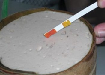 Mách bạn cách chọn giò, chả không hàn the ăn Tết không thể bỏ qua