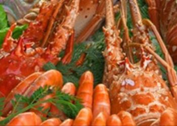 Bật mí cách phòng tránh nguy cơ ngộ độc do ăn hải sản