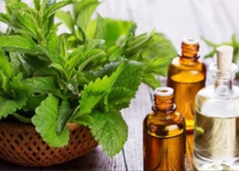 Mẹo chữa đau răng từ những thảo dược quen thuộc dễ tìm