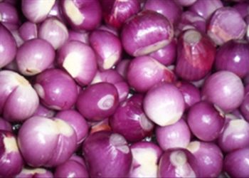 Củ hành ức chế tế bào ung thư buồng trứng hiệu quả