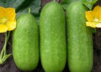 Mẹo hay trị hết nấc ngay tức thì không phải ai cũng biết